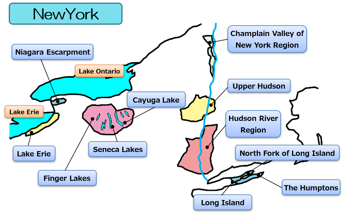 エクセレンス アメリカ東部 ニューヨーク州 ヴァージニア州 ワインソムリエ エキスパート独学応援ブログ